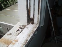 Restore Wooden Sash Windows Etc