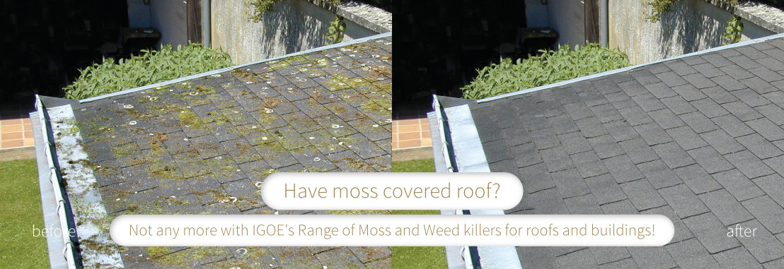 Moss On Your Roof? Sort It With ATM007 Moss, Lichen & Algae Remover